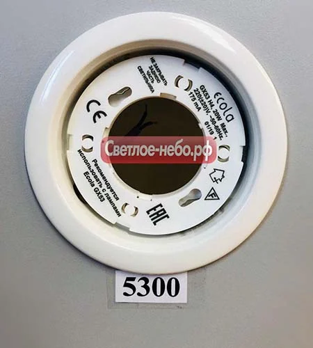 5300